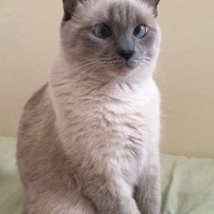 Meet your Posher, Carolina